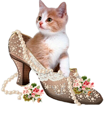 le chat