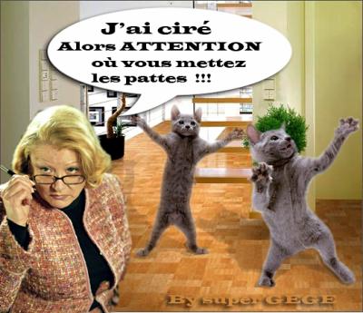 mdr